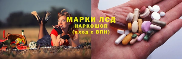 spice Баксан