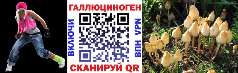 Псилоцибиновые грибы Magic Shrooms  как найти закладки  Сланцы 